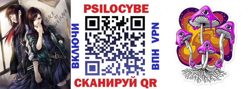 Купить закладки  Кирсанов  Галлюциногенные грибы мицелий 